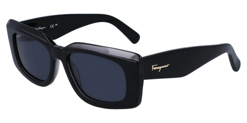 Salvatore Ferragamo SF1079S 022 1 Salvatore Ferragamo SF1079S 022