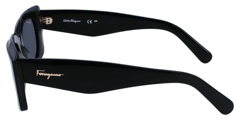 Salvatore Ferragamo SF1079S 022 3 Salvatore Ferragamo SF1079S 022 - Image 3