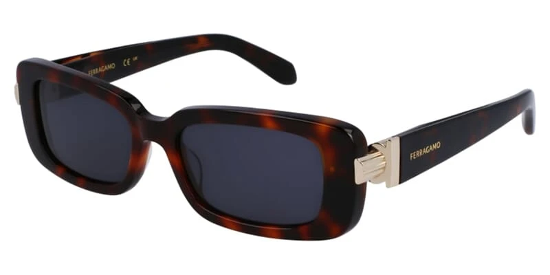 Salvatore Ferragamo SF1105S 240 1 Salvatore Ferragamo SF1105S 240