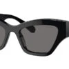 Swarovski SK6021 1001/81 Polarised